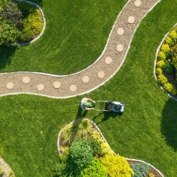 big-garden-grass-field-mowing-by-caucasian-gardener-1.jpg
